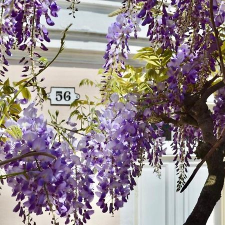Wisteria Bed & Breakfast Fontainebleau Luaran gambar