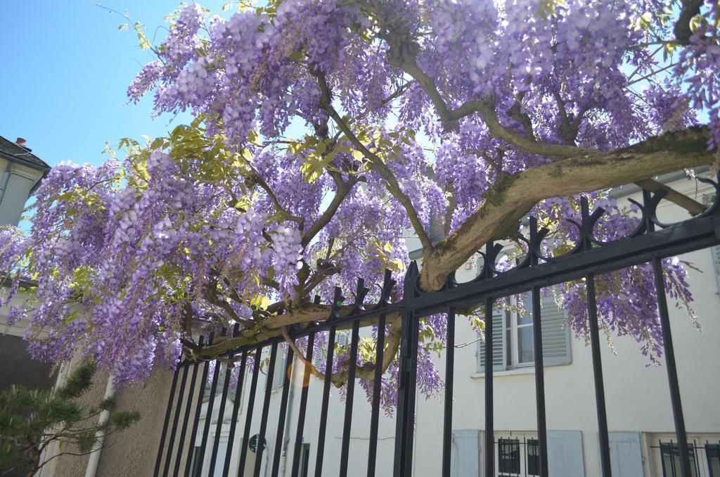 Wisteria Bed & Breakfast Fontainebleau Luaran gambar