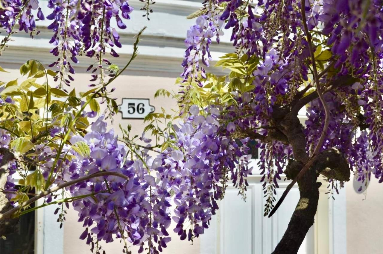 Wisteria Bed & Breakfast Fontainebleau Luaran gambar