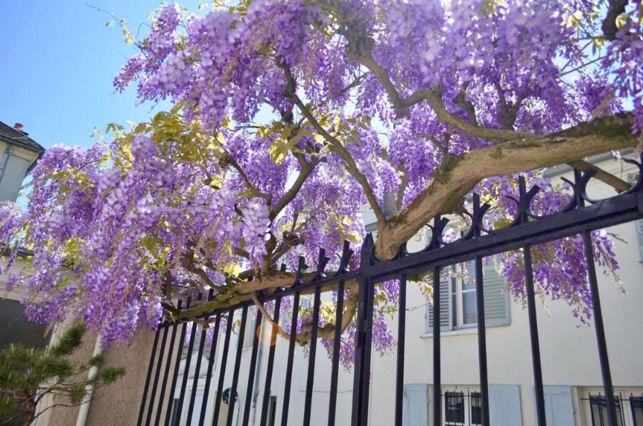Wisteria Bed & Breakfast Fontainebleau Luaran gambar