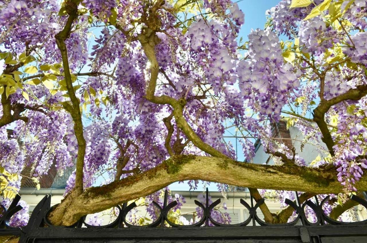 Wisteria Bed & Breakfast Fontainebleau Luaran gambar